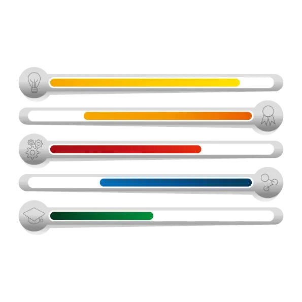 Colorful Progress Bars Infographic