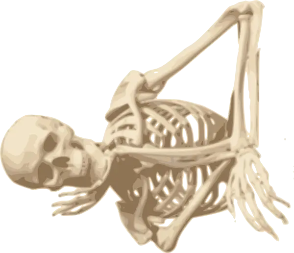 Human Skeleton Anatomical Diagram