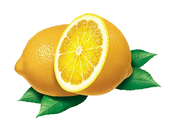 Yellow Lemon and Slice with Green Leaves