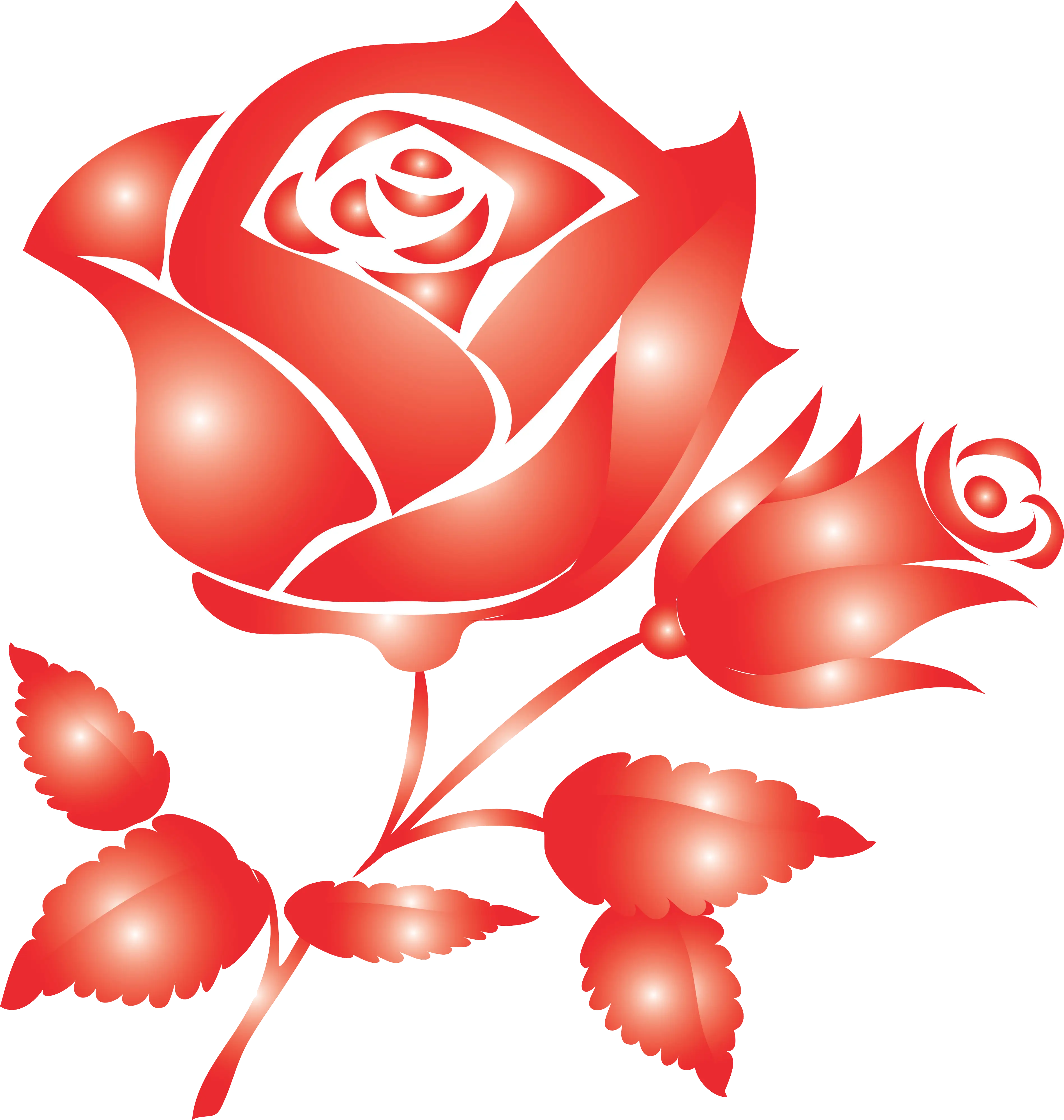 Red Rose Illustration with Bud and Leaves