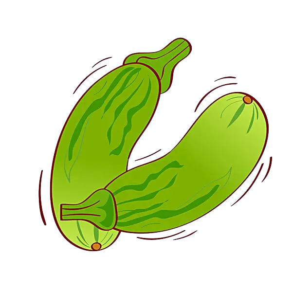 Fresh Green Cucumbers Illustration