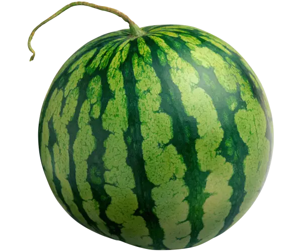 Juicy Green Watermelon with Natural Stripes