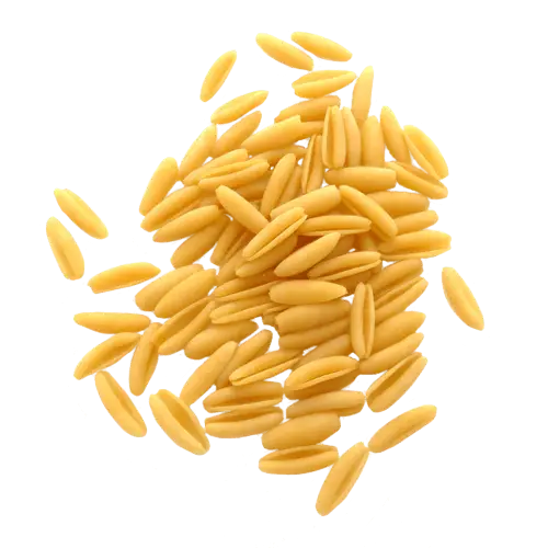 Uncooked Pasta