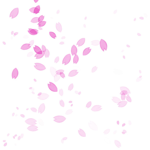 Falling Cherry Blossom Petals with Elegance