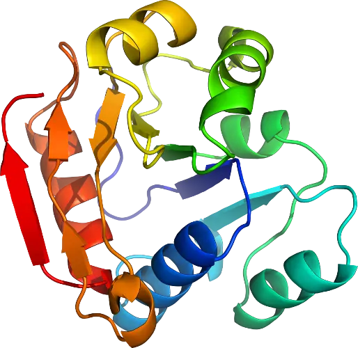 Protein Molecule Structure in 3D Representation