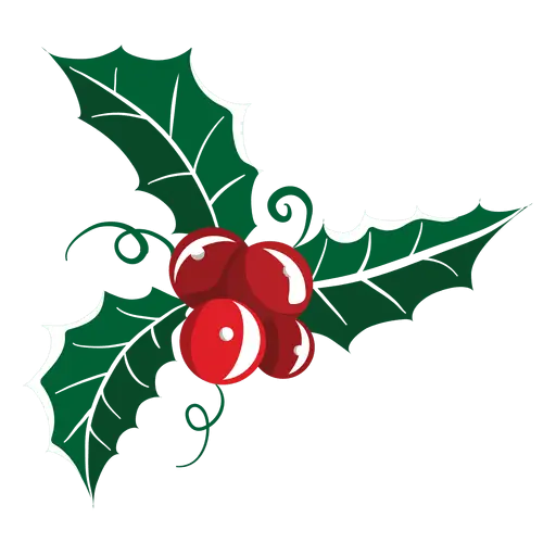 Festive Holly Leaves and Red Berries