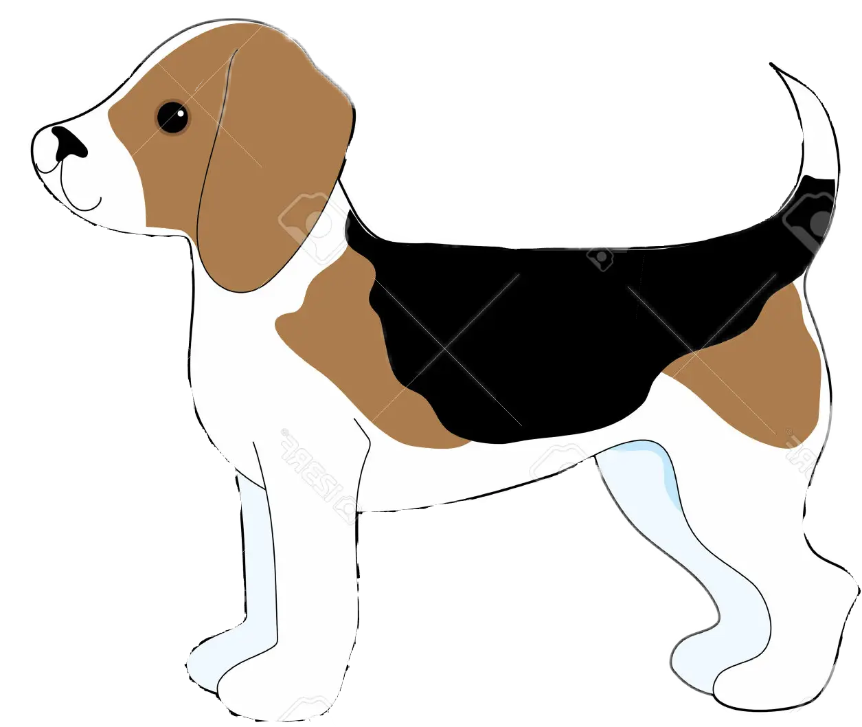 Cartoon Beagle Dog with Tricolor Design