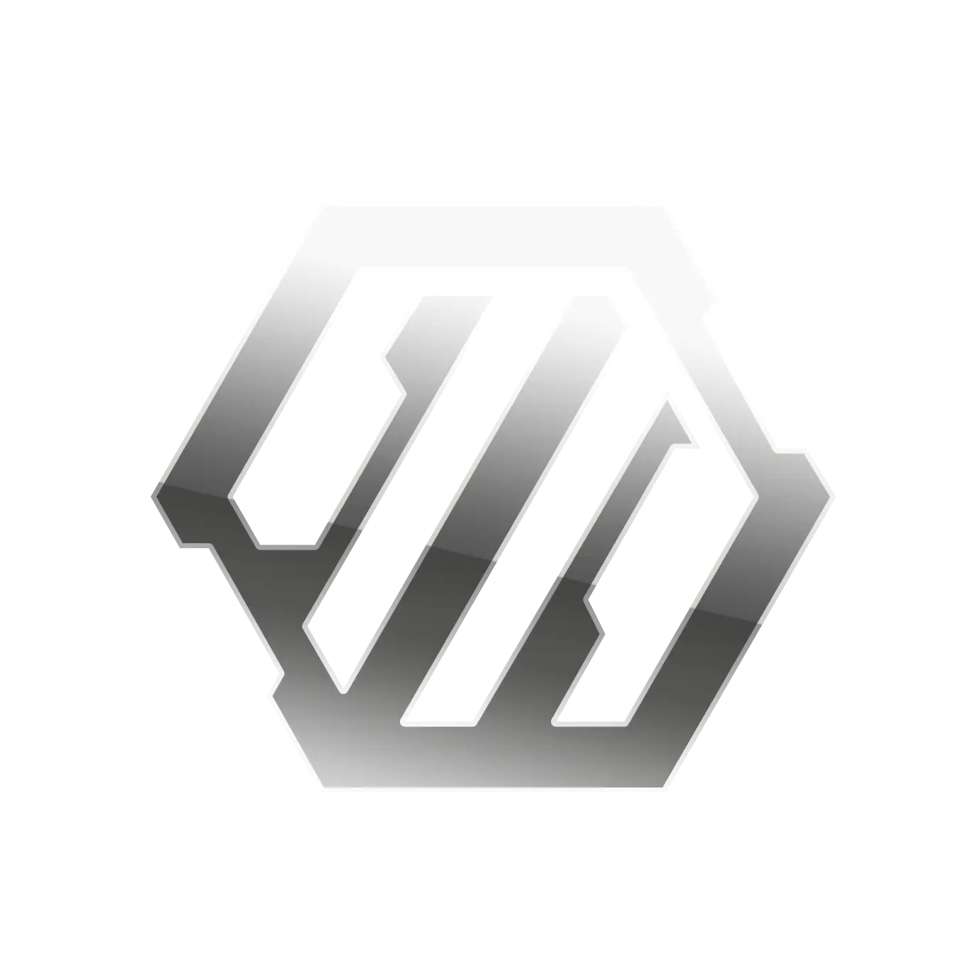 Hexagon Logo with Metallic Finish