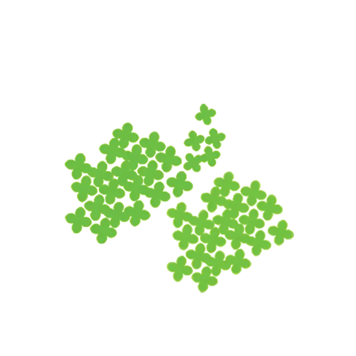 Cluster of Green Clovers