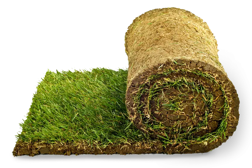 Rolled Grass Sod