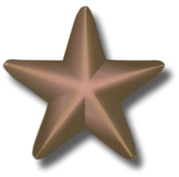 Decorative Bronze Star Ornament