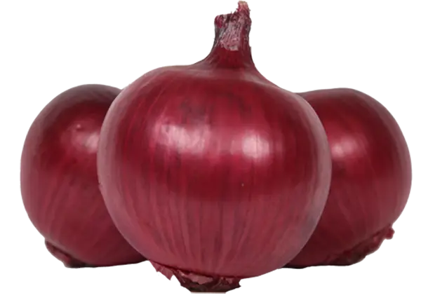 Fresh Red Onions