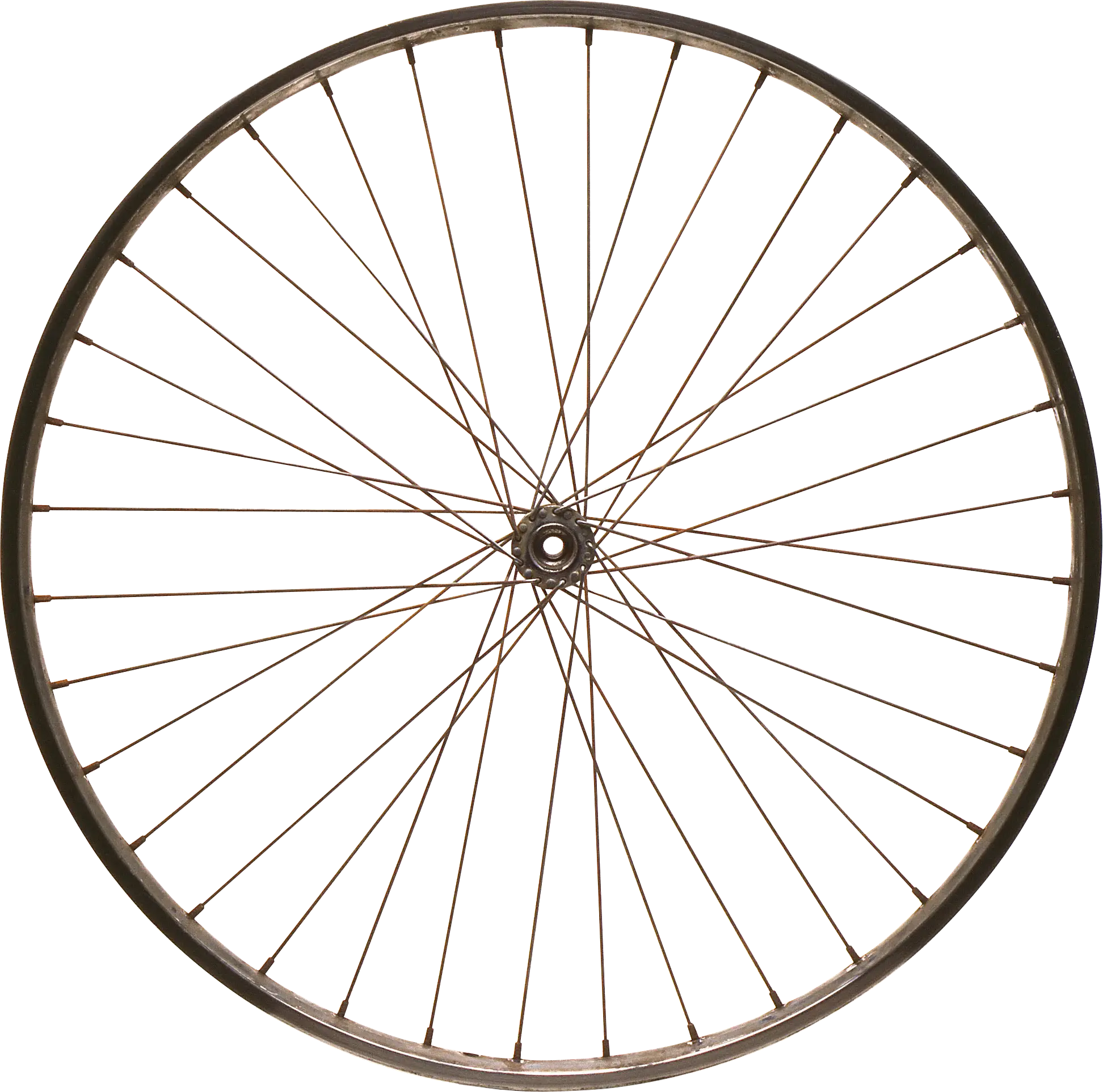 Bicycle Wheel with Spokes