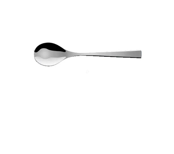 Stainless Steel Metal Spoon