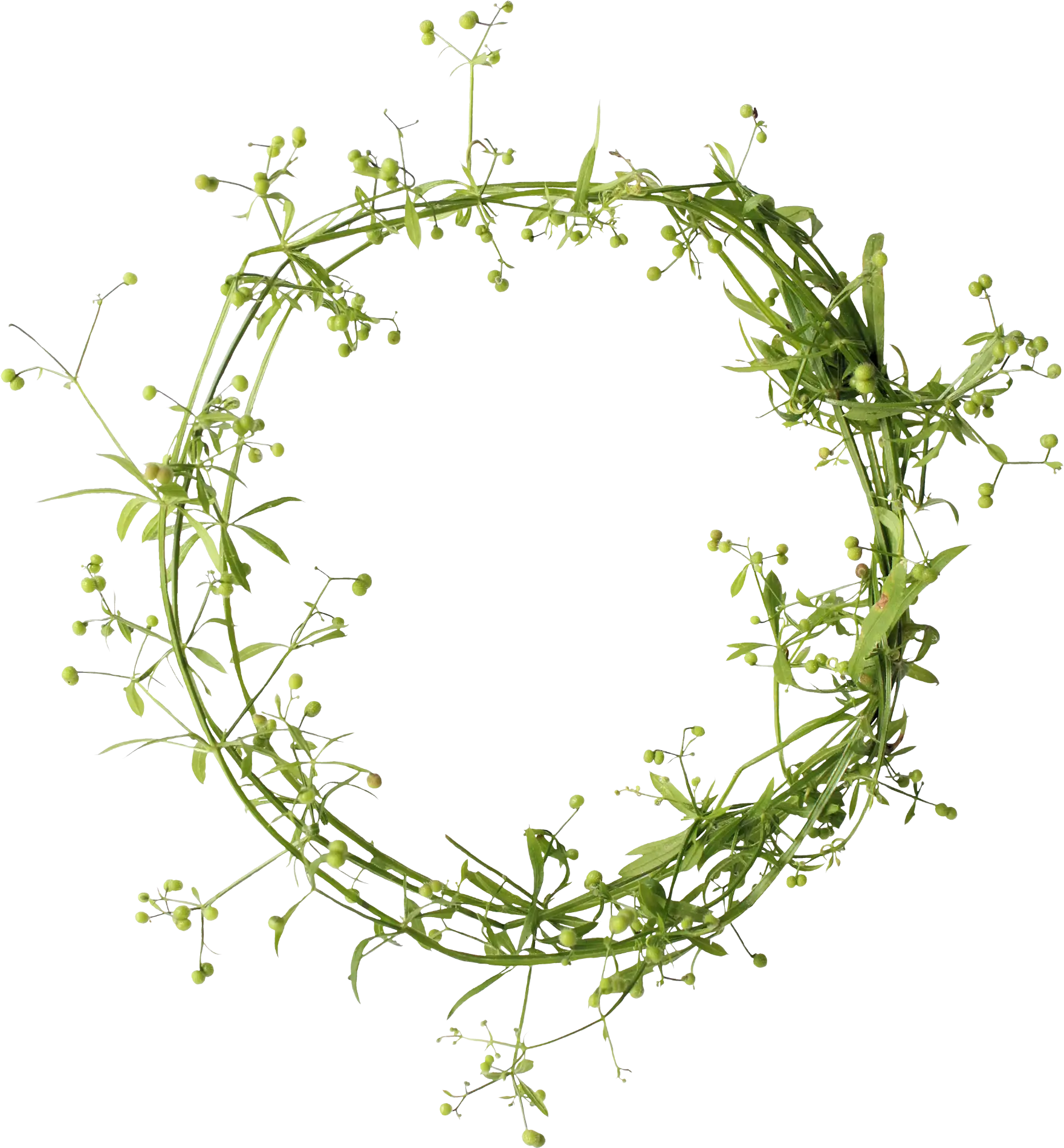 Green Floral Wreath