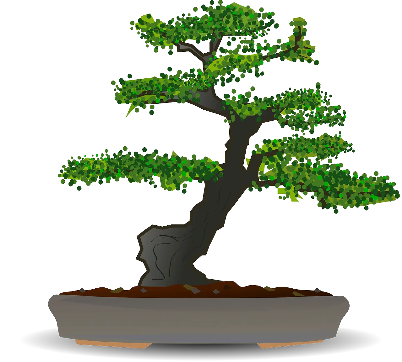 Green Bonsai Tree in Pot
