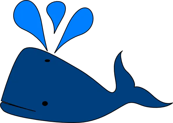 Blue Whale Splashing Water