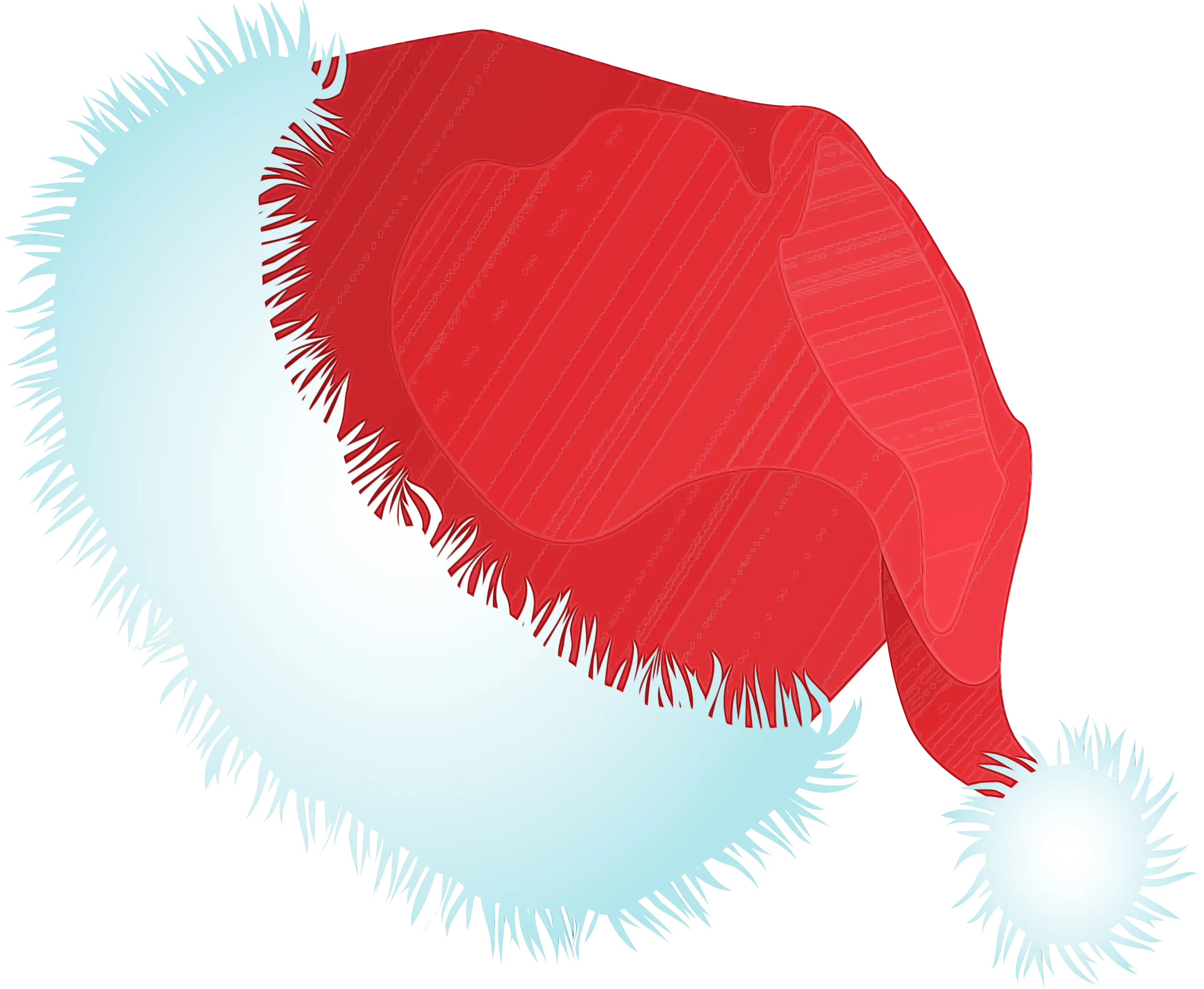 Red Santa Hat with White Furry Trim