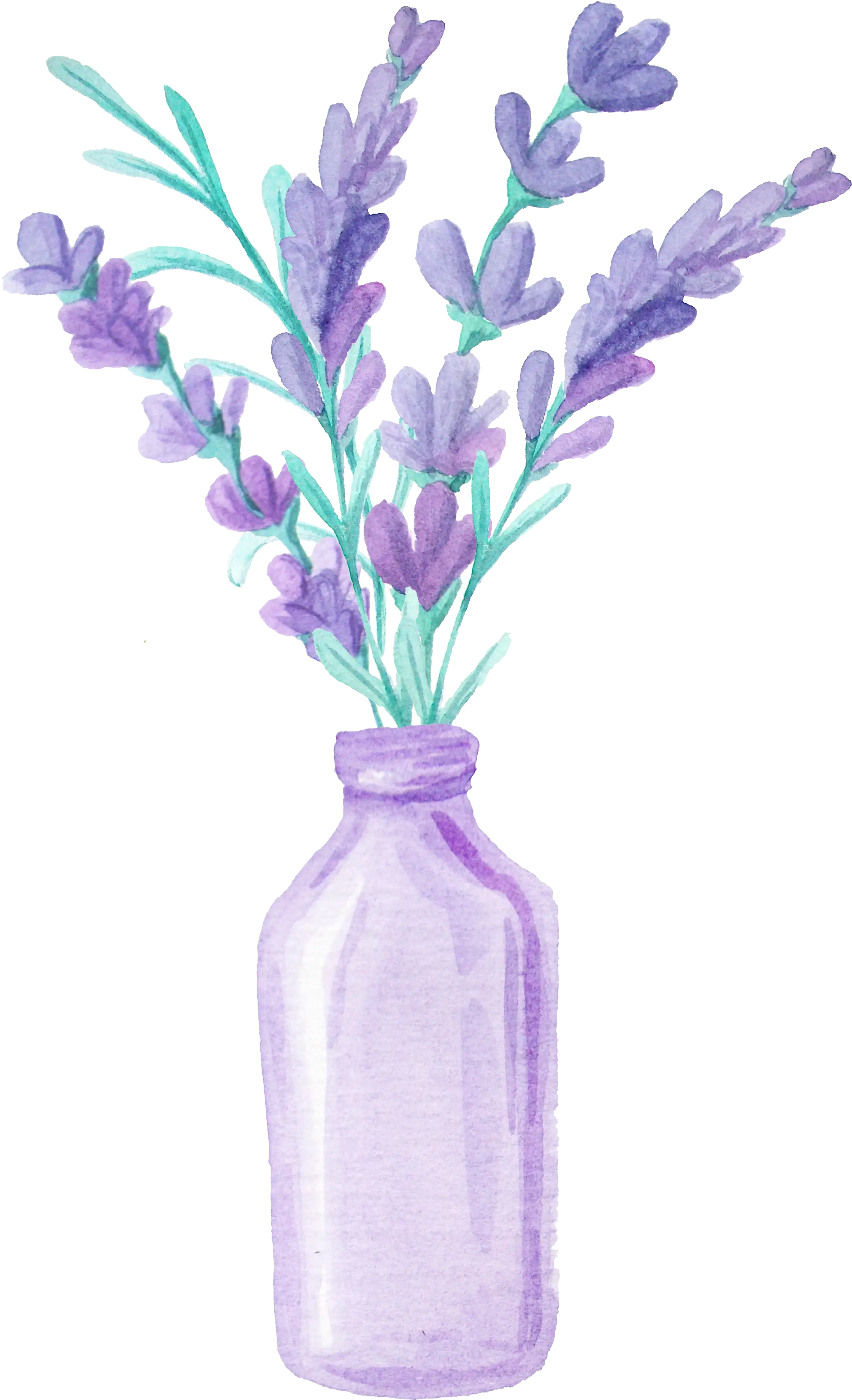 Purple Flowers in Bottle Illustration