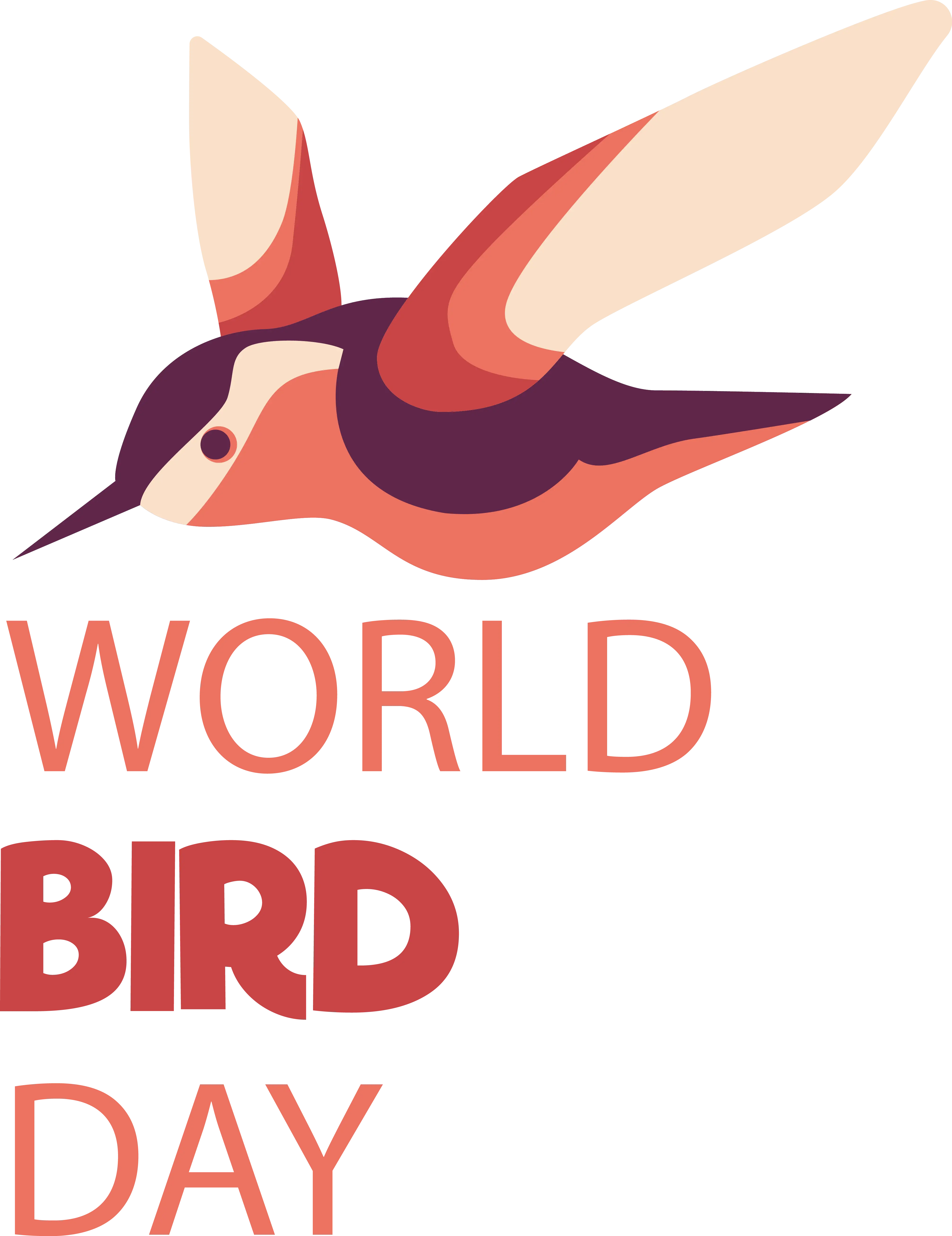 Bird for World Bird Day