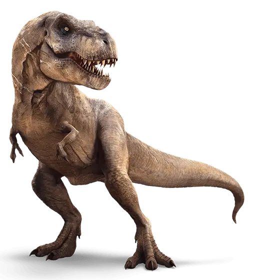 Tyrannosaurus Rex Illustration