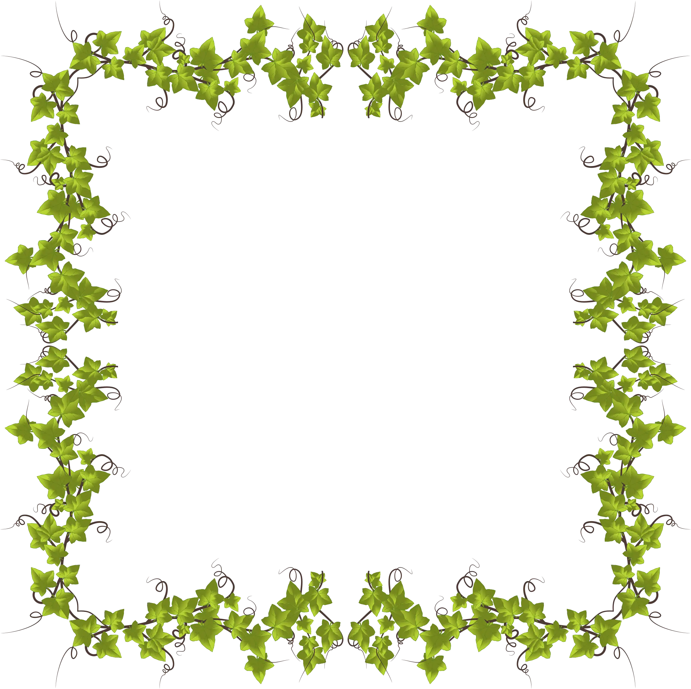 Natural Green Ivy Frame for Creative Edges
