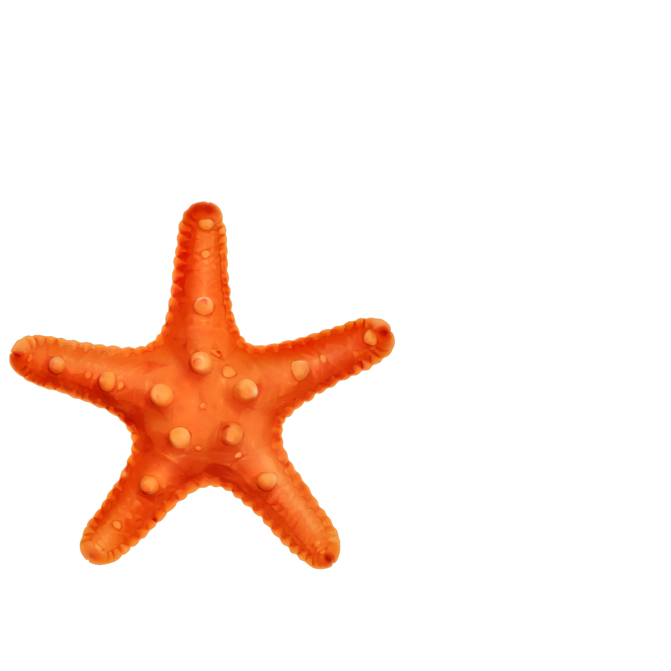 Orange Starfish in Marine Style