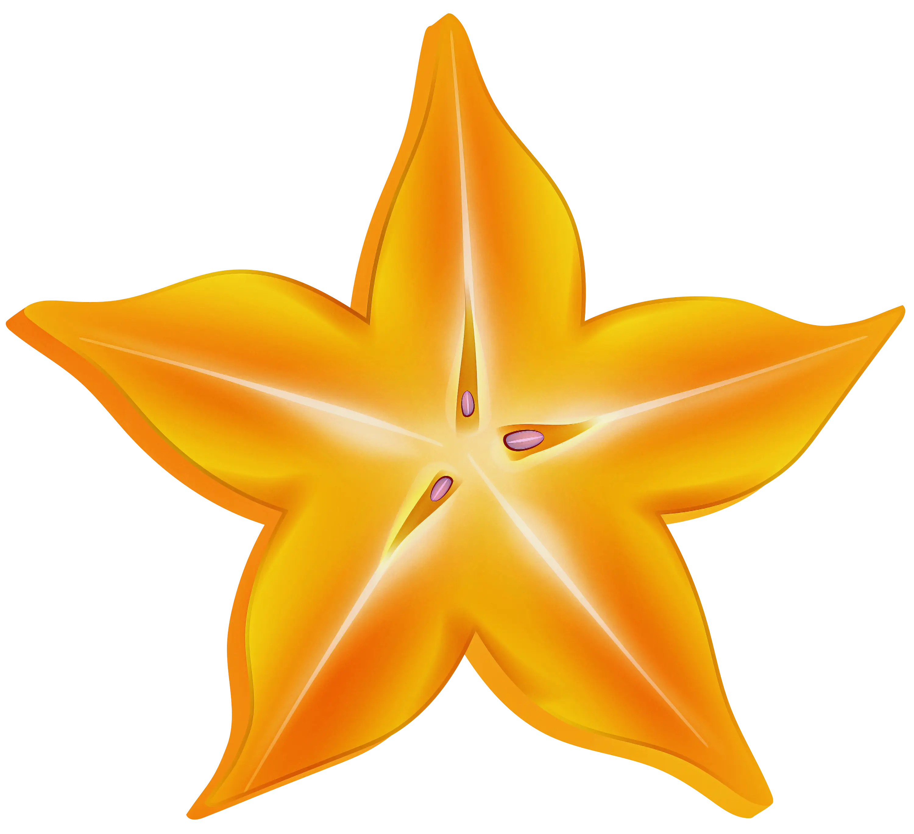 Bright Yellow Starfruit Slice
