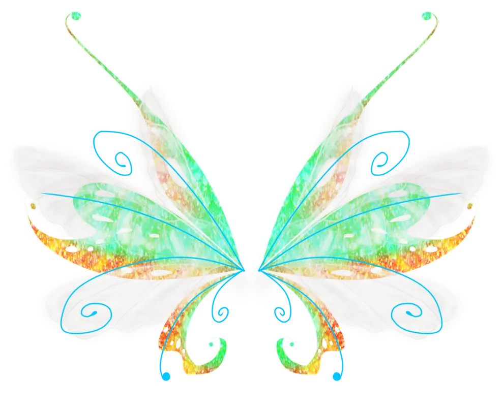 Colorful Butterfly Wings with Fantasy Design