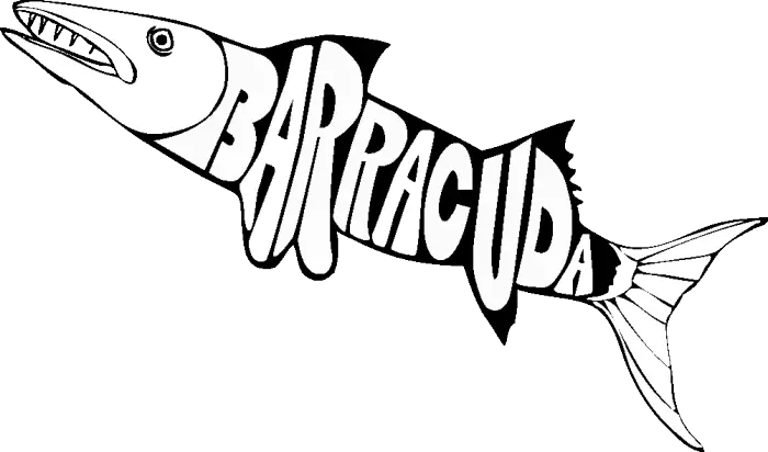 Barracuda Design with Typography Concept