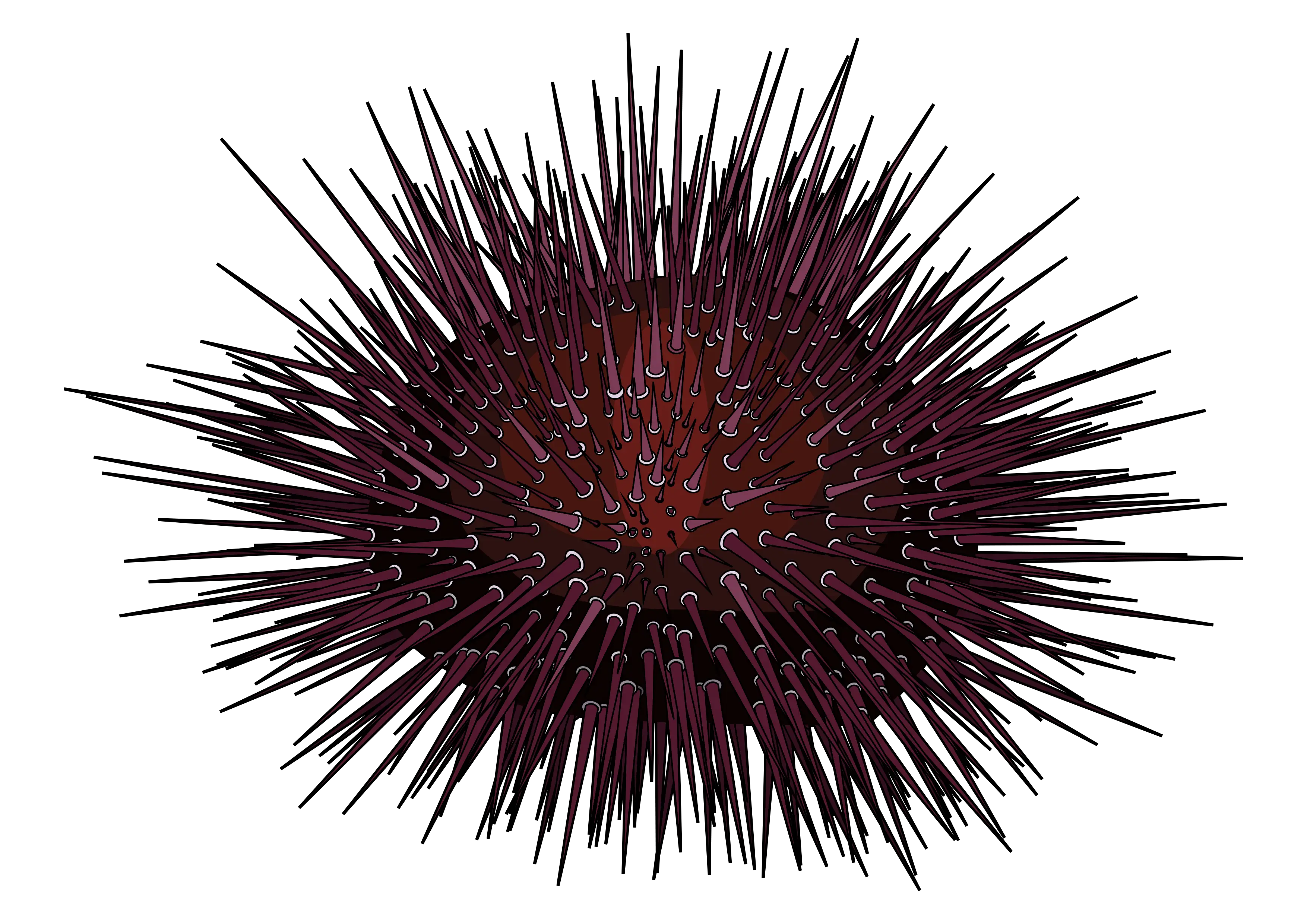 Spiky Sea Urchin