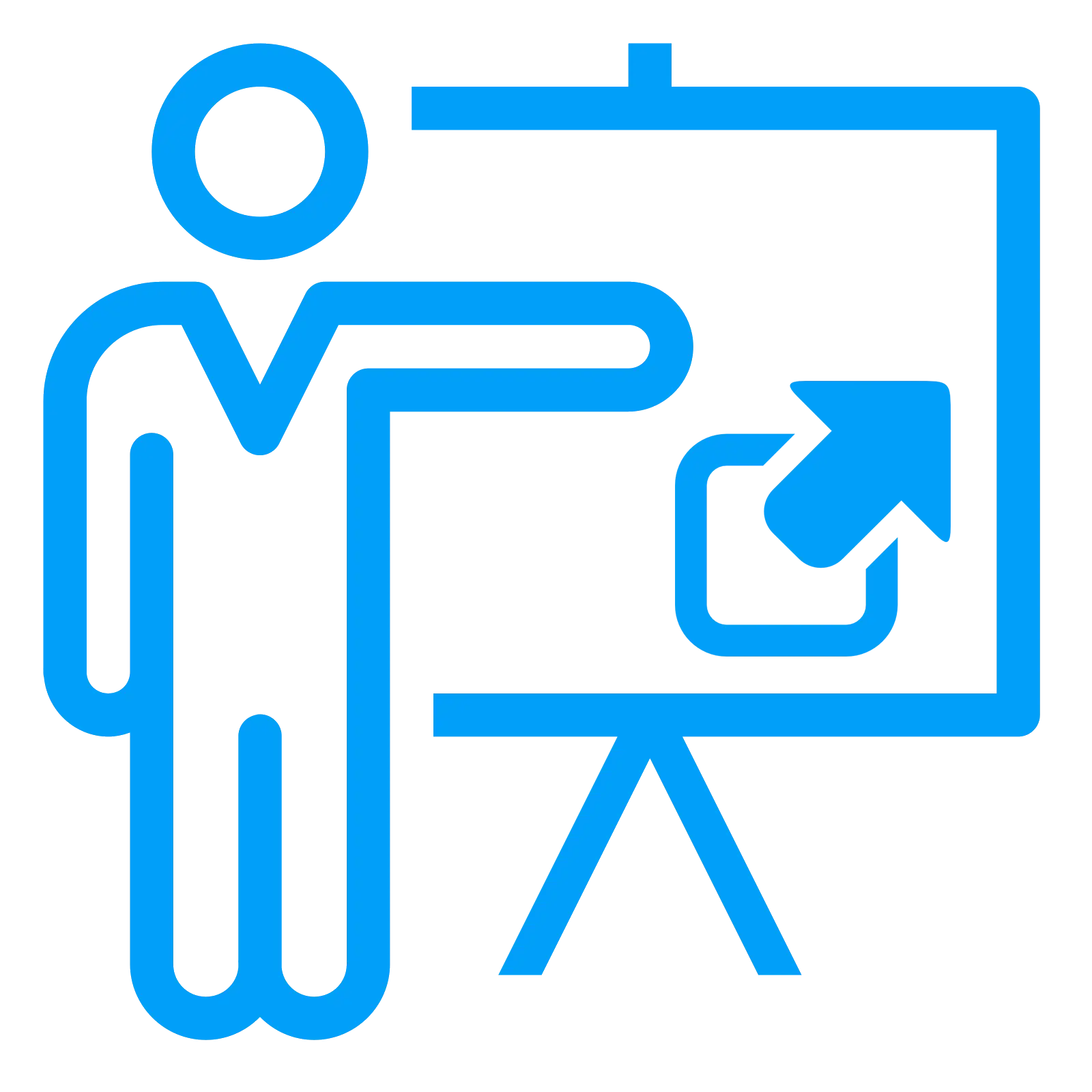 Person Giving a Presentation
