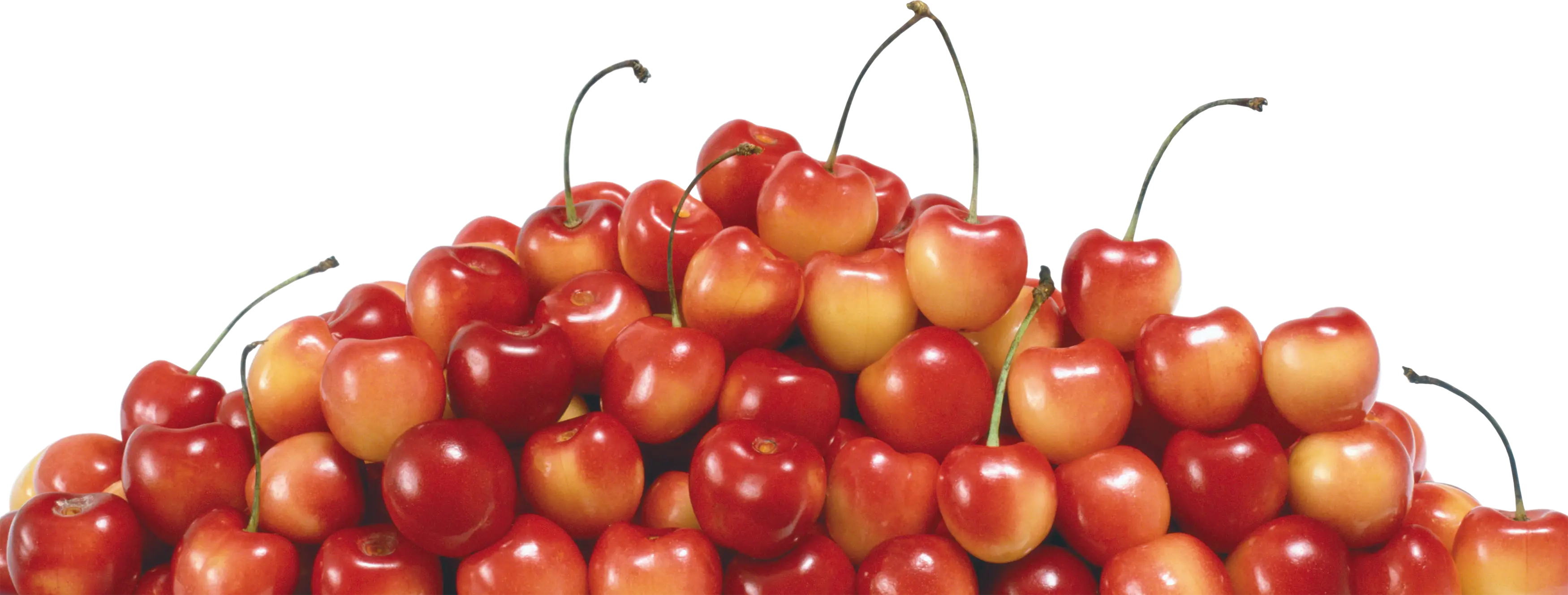 Pile of Fresh Red Cherries