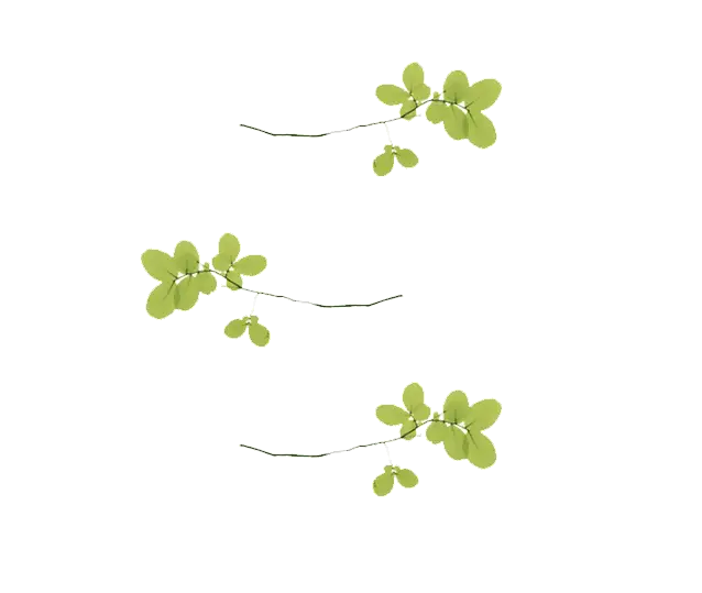 Floating Green Leaves on Transparent Background