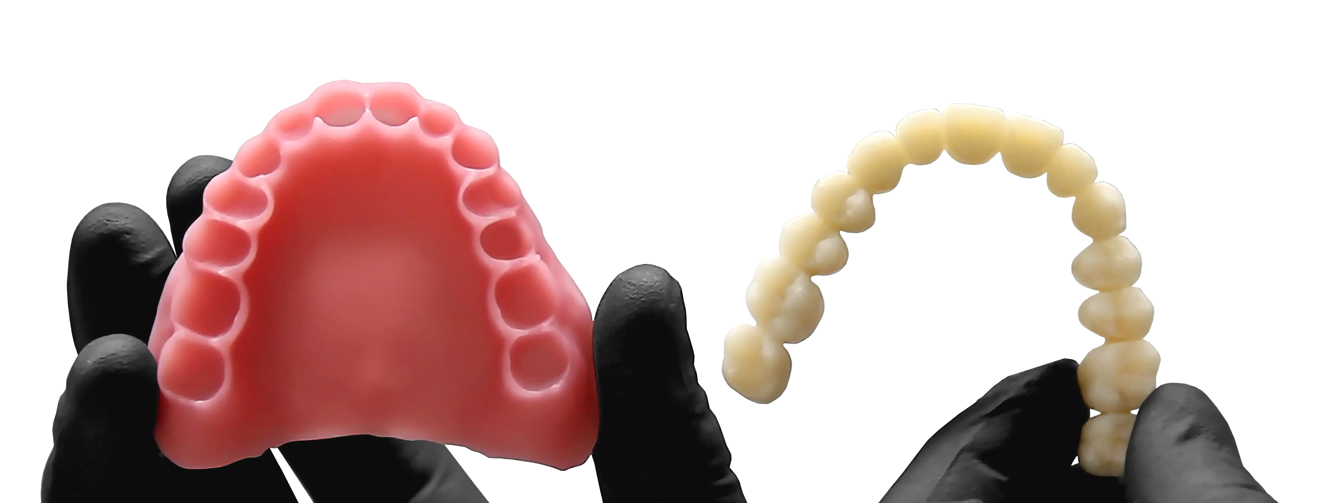 Dental Models for Oral Health
