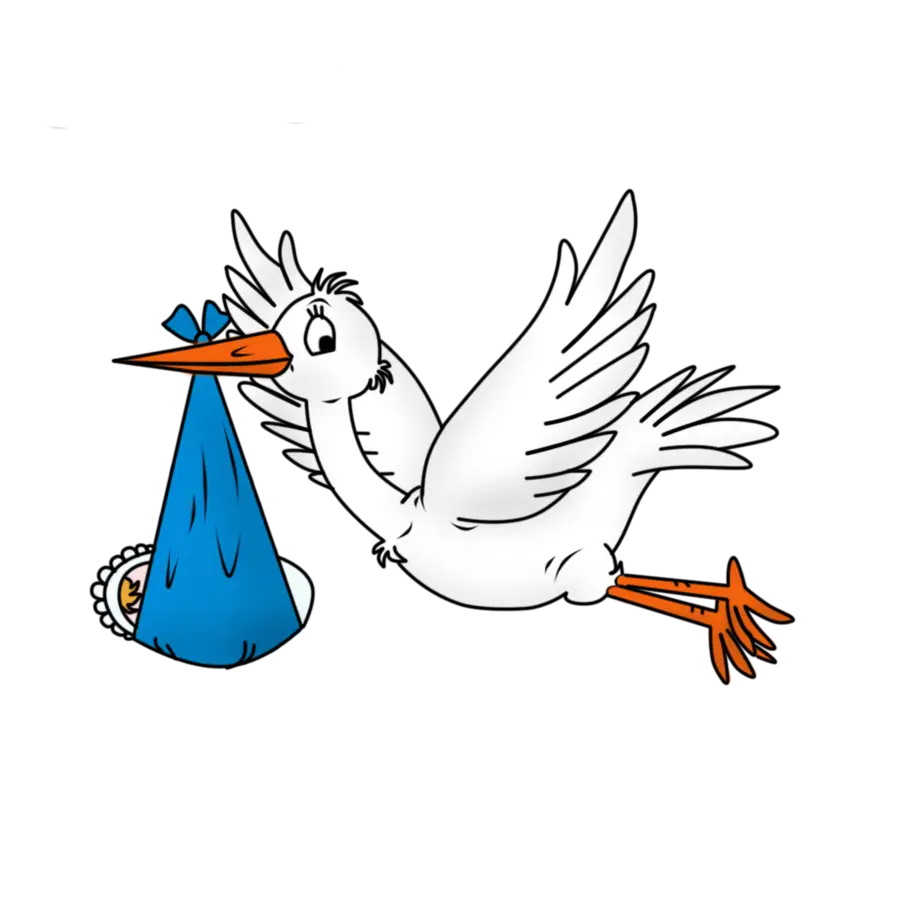 Stork Carrying Baby Bundle