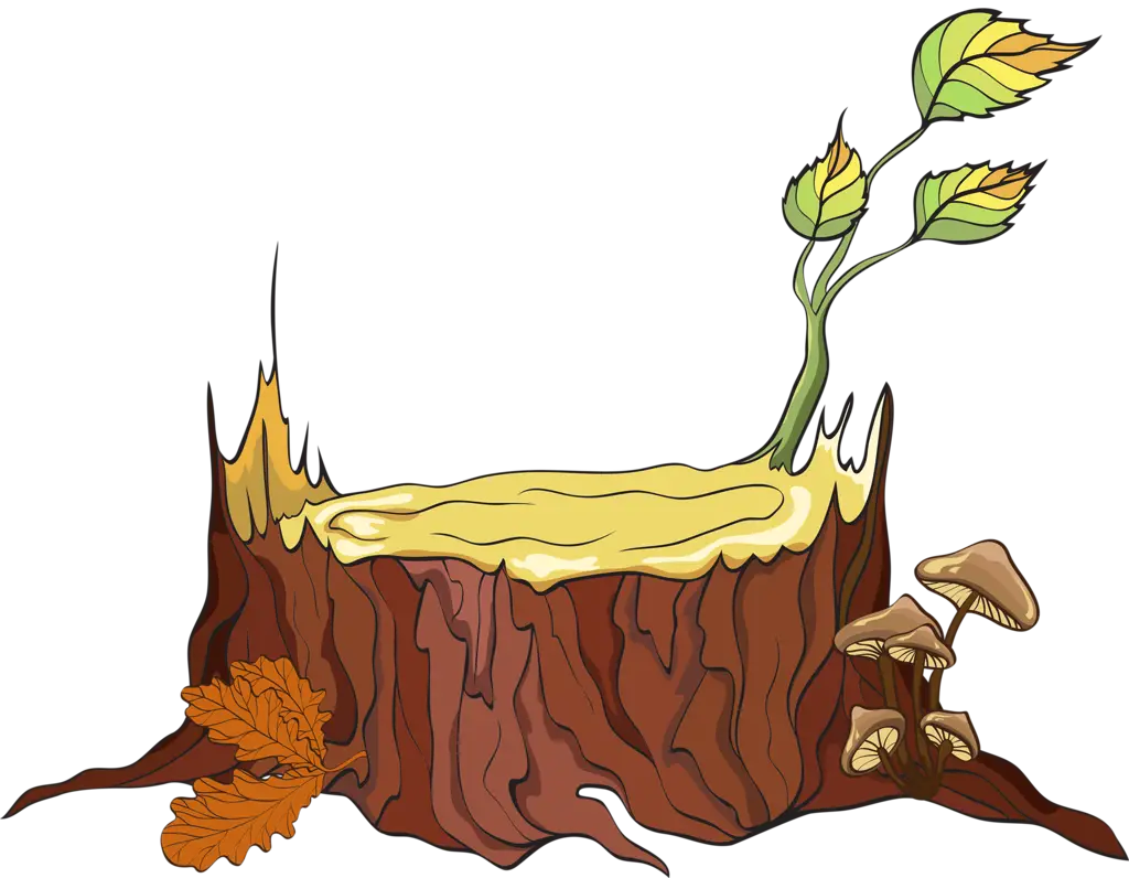 Tree Stump with New Growth and Mushrooms