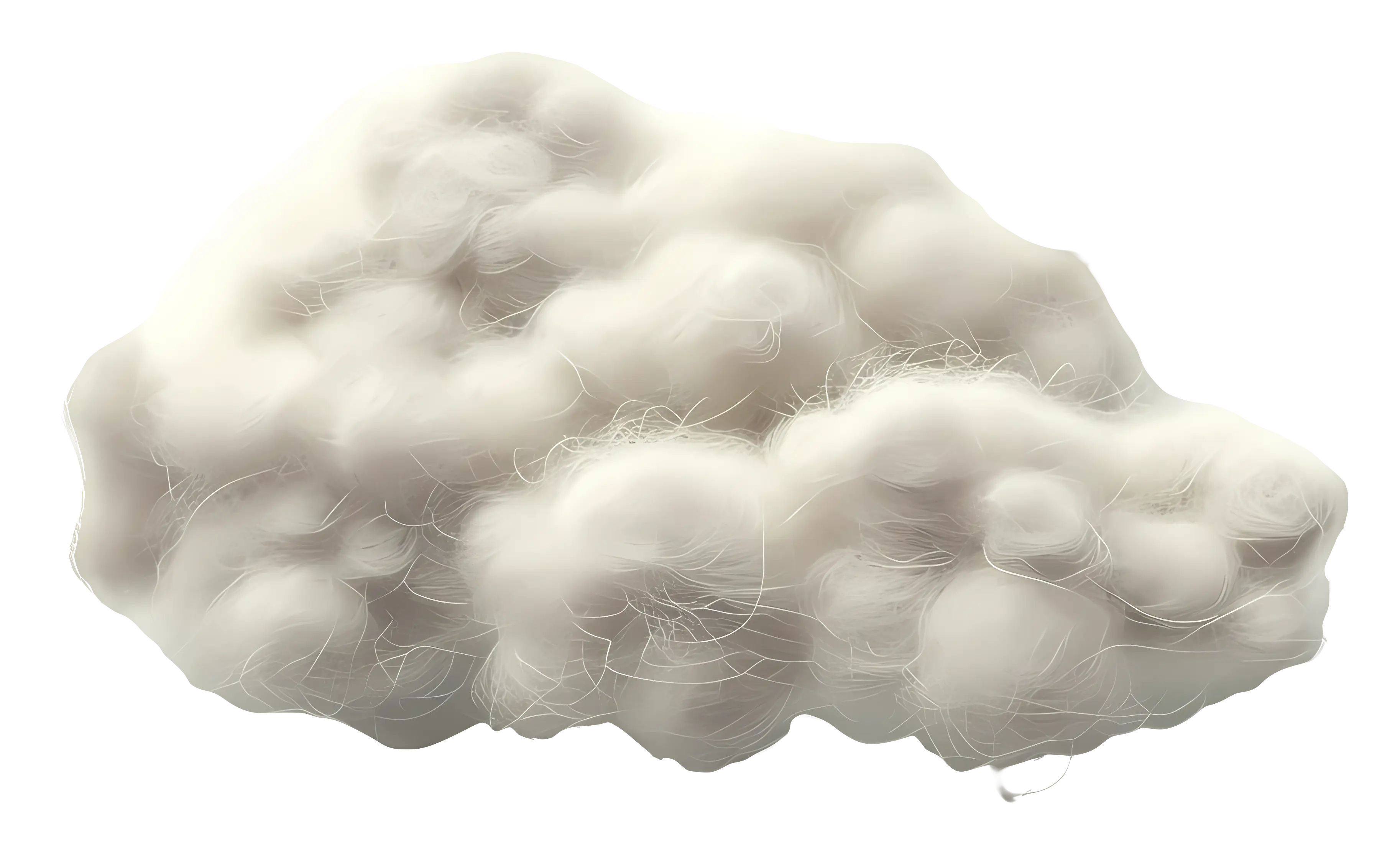 Fluffy White Cloud in Sky