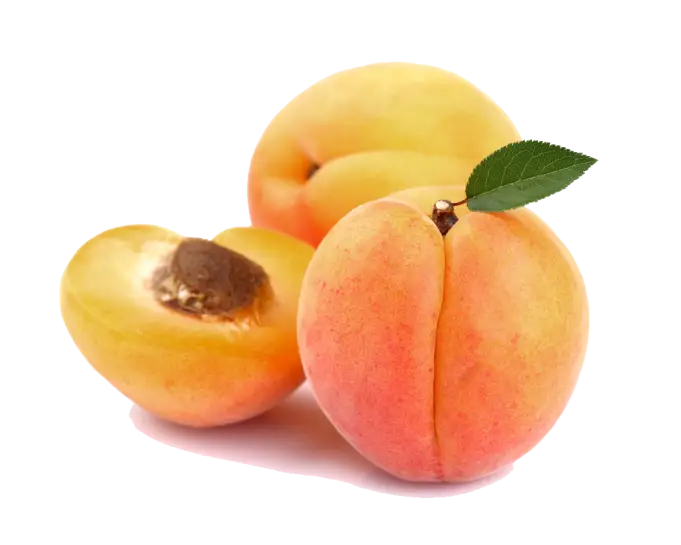Fresh and Juicy Apricots