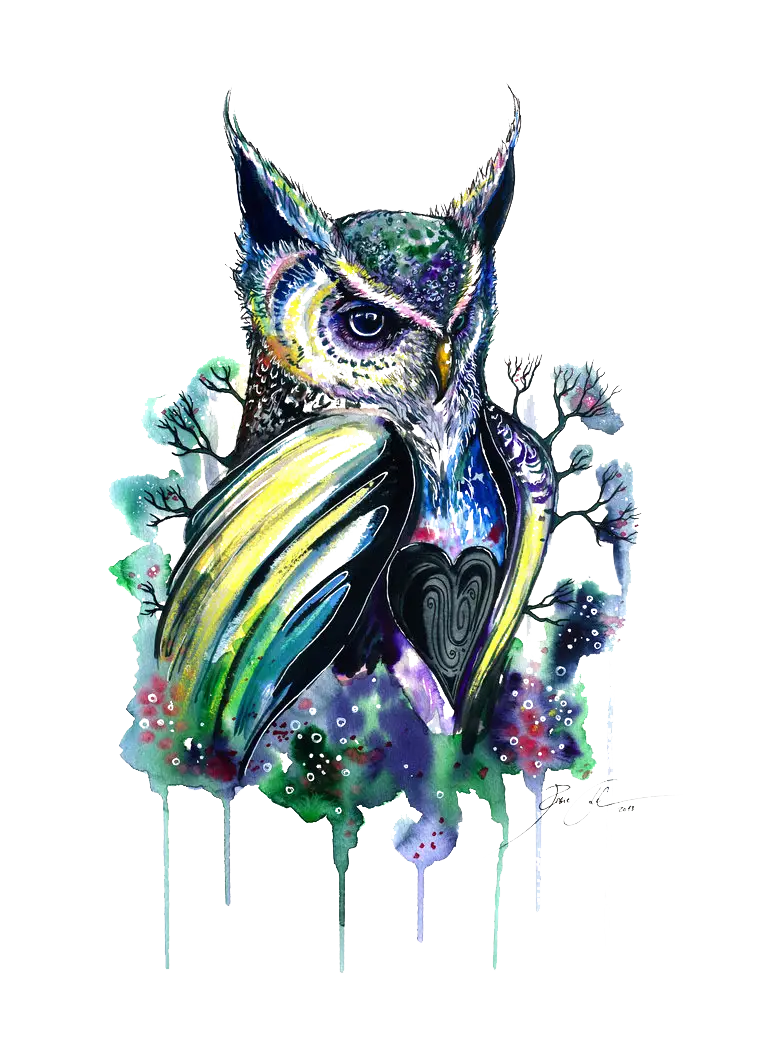 Colorful Watercolor Owl Art