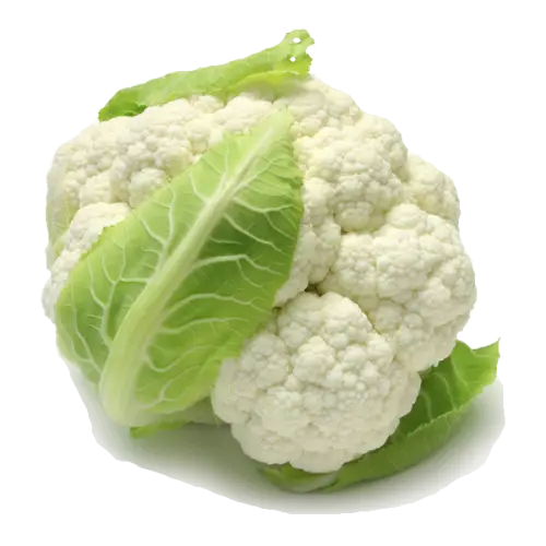 Fresh Cauliflower with Green Leaves