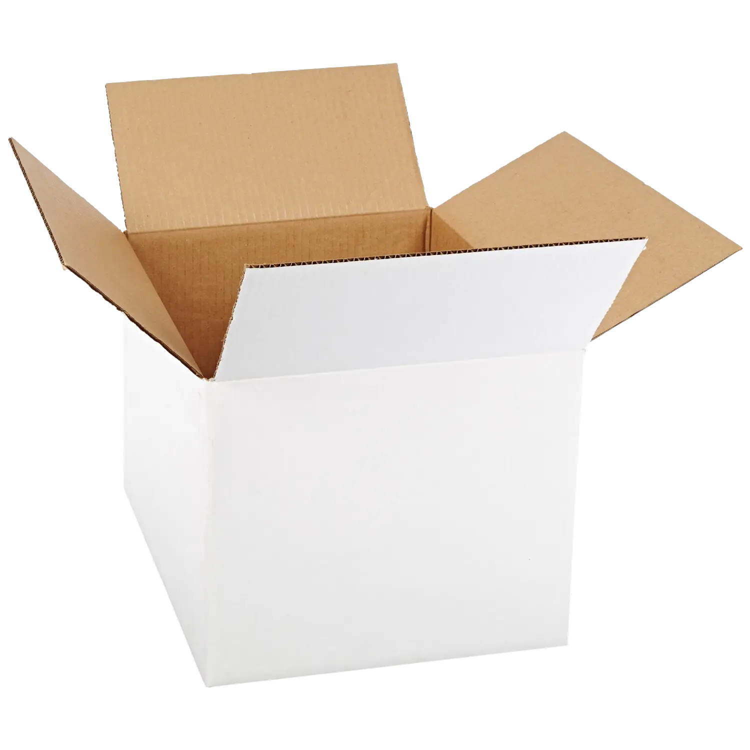 White Cardboard Open Box for Packaging or Storage