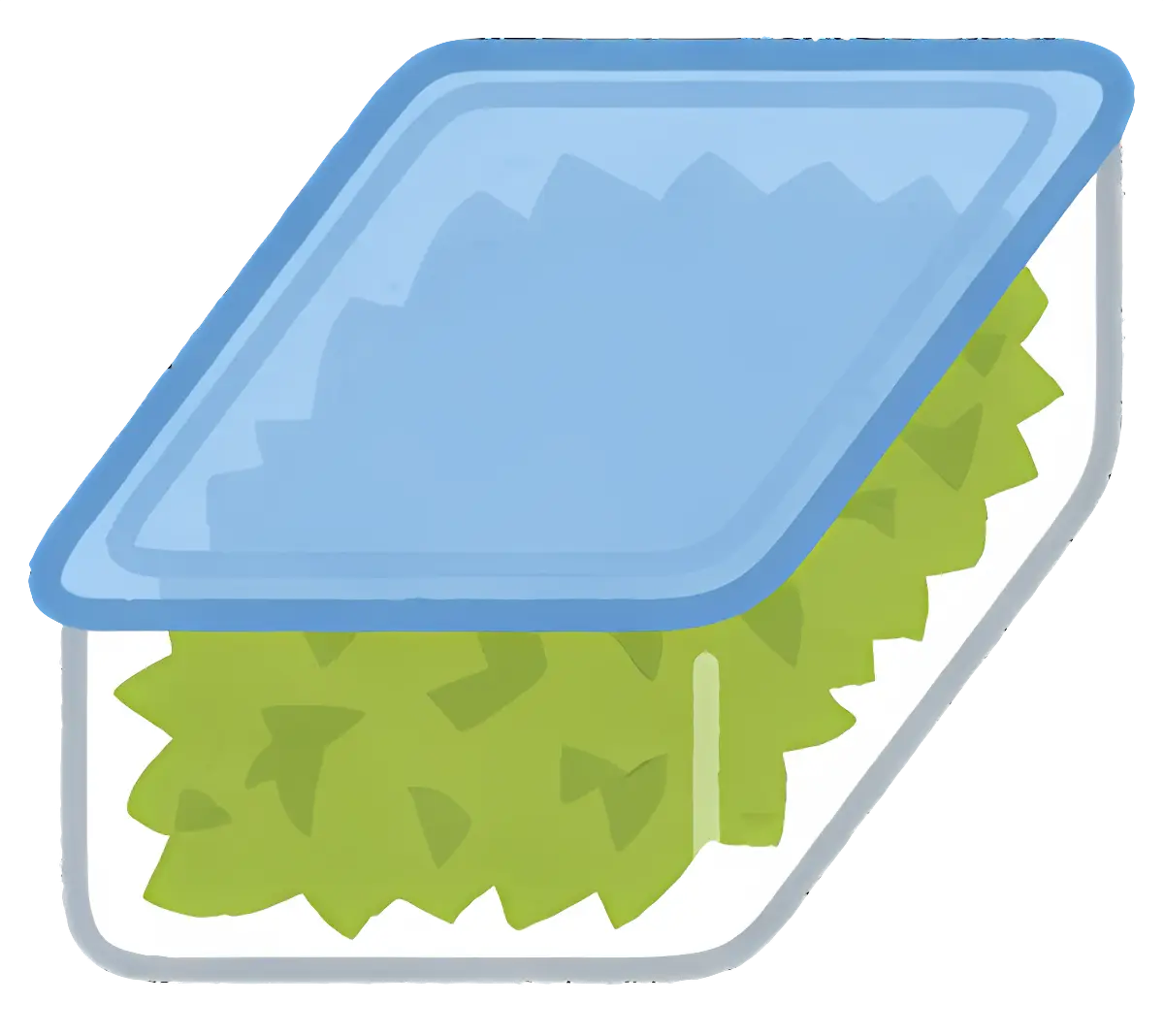 Container with Fresh Leafy Lettuce and Lid