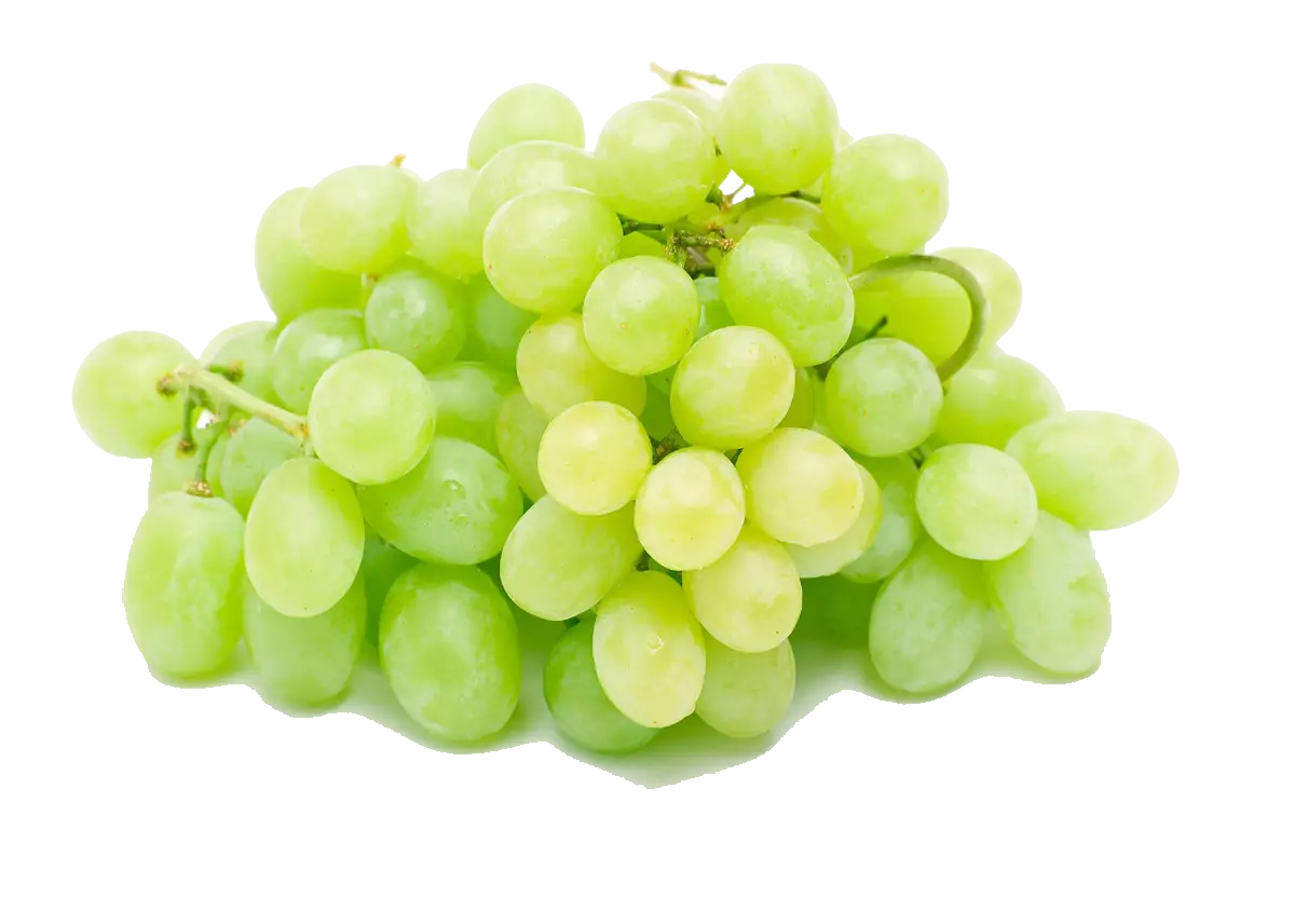 Fresh Cluster of Green Grapes