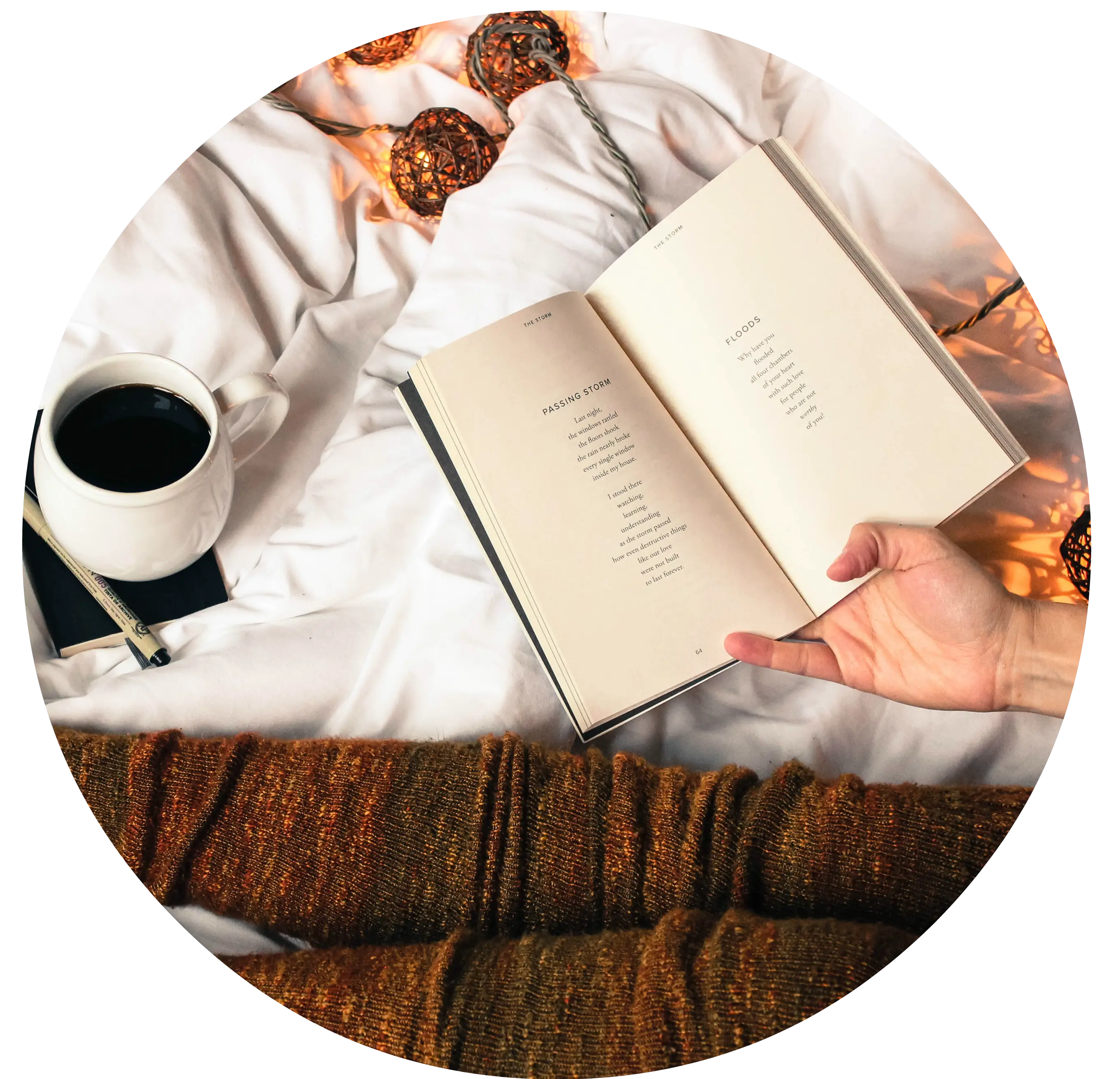 Cozy Morning Reading a Book