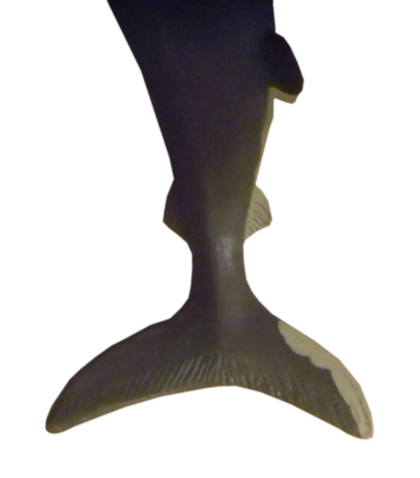 Whale Tail in Ocean