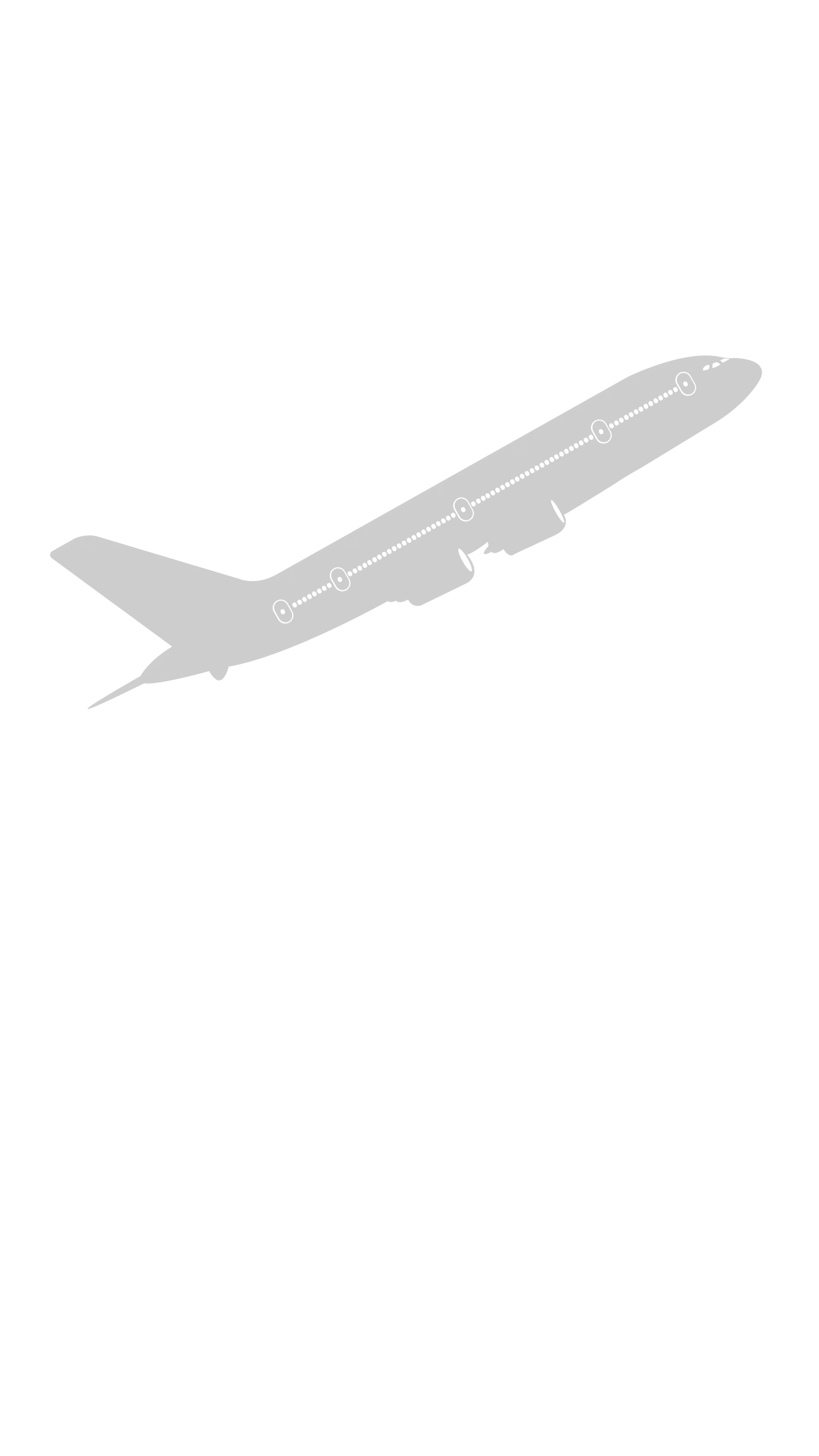Airplane in Flight