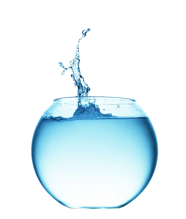 Water Splash in Fishbowl