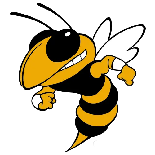Friendly Cartoon Bee Illustration