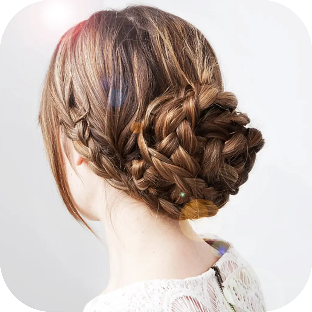 Elegant Braided Hair Updo
